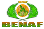 Benaf Cameroon
